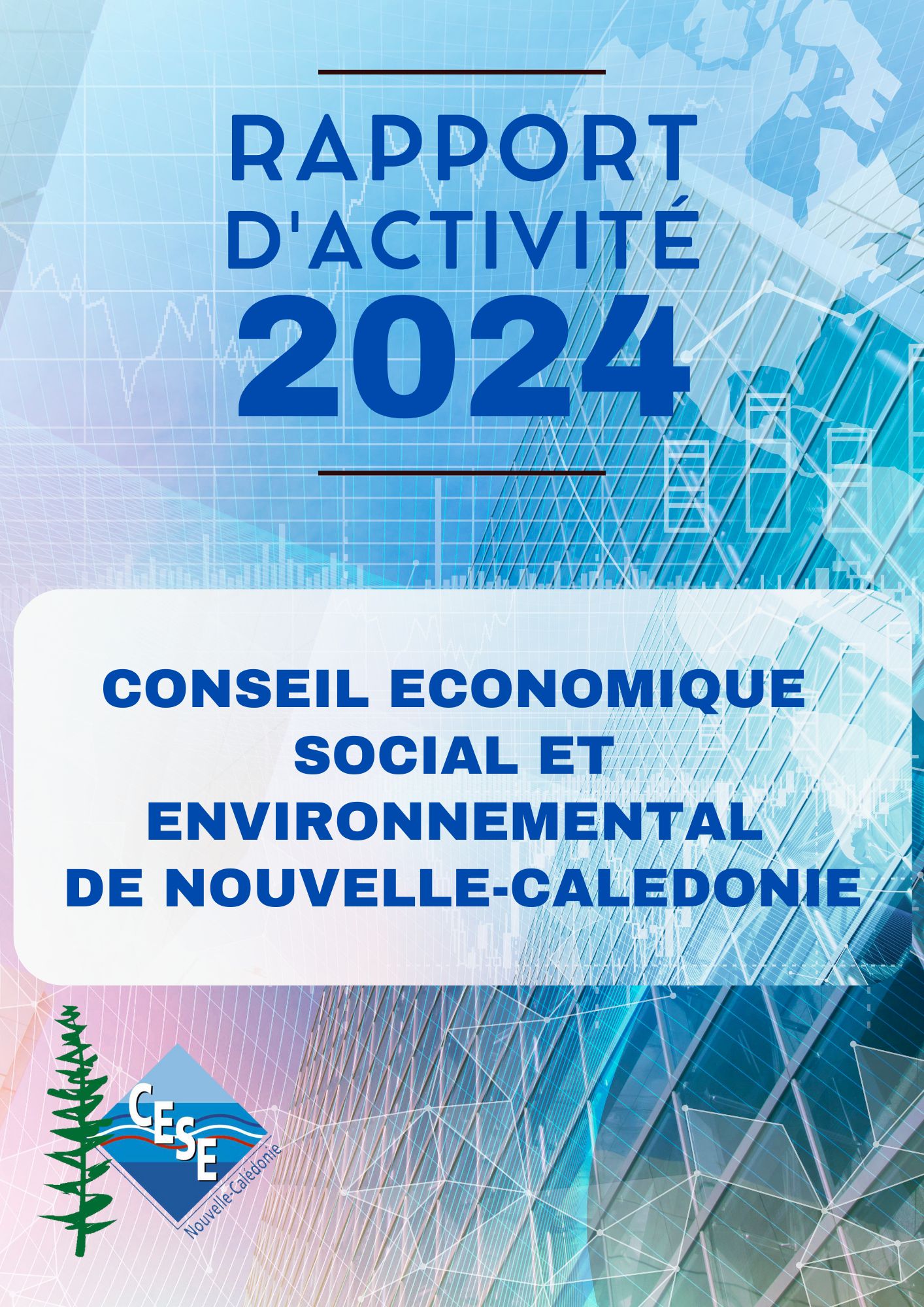 Rapport d'activité 2024 du CESE-NC