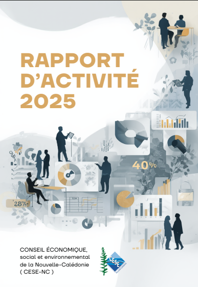 Rapport d'activité 2025 du CESE-NC