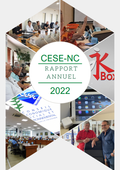 Rapport d'activité 2022 du CESE-NC