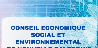 Rapport d'activité 2024 du CESE-NC