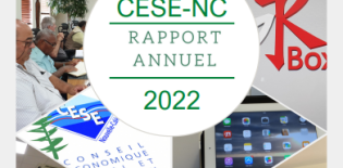 Rapport d'activité 2022 du CESE-NC