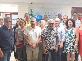 Visite de courtoisie de la DDDT au CESE NC le jeudi 16 janvier 2025