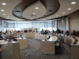 Assemblée du CESE-NC