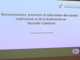 Présentation des affaires juridiques du gouvernement.