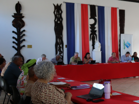 Séance plénière du CESE-NC