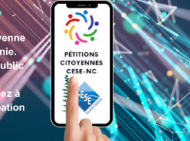 pétitions citoyennes