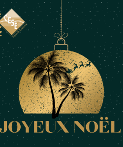 Joyeux Noël du CESE-NC
