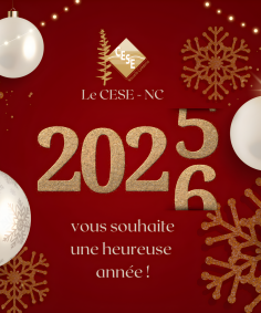 Voeux 2026