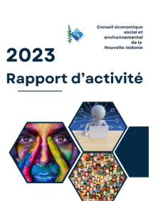 Rapport d'activité 2023 du CESE-NC