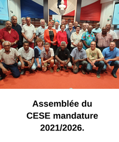 Les membres du CESE quasiment au complet élus le 28 décembre 2021