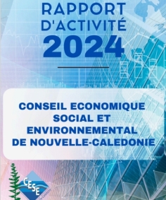 Rapport d'activité 2024 du CESE-NC.