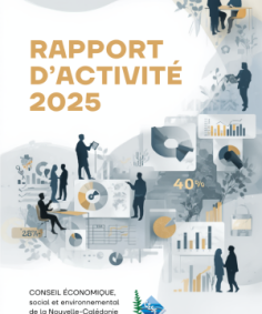 2025 Rapport d'activité