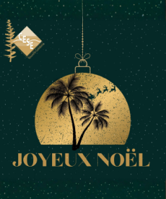 2025 Joyeux Noël