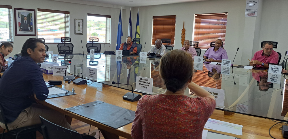 Proposition de loi visant à supprimer les conditions de nationalité : 1ères auditions