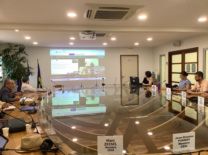 1ère réunion d'audition.