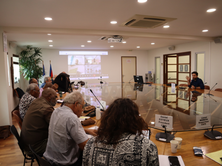 Conseillers en présentiel et en visio-conférence.