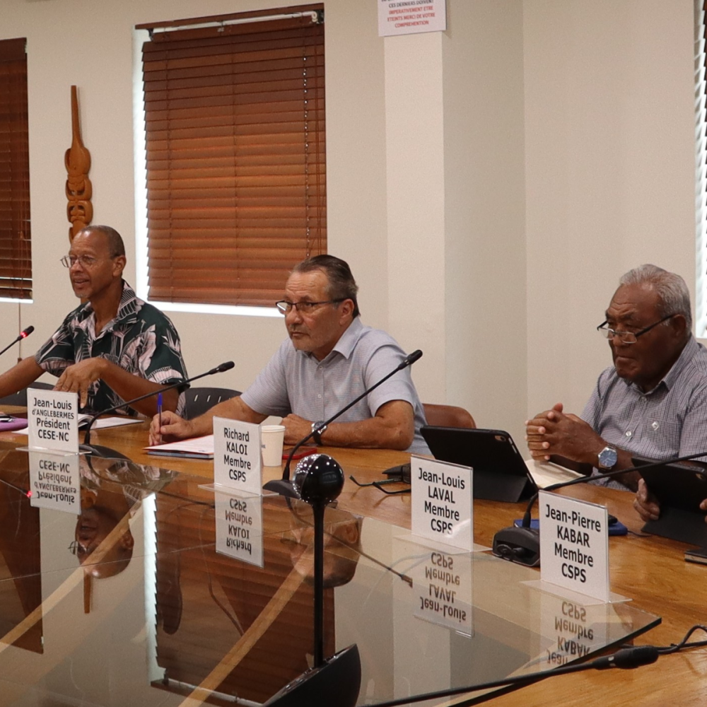 Commission de la santé et de la protection sociale.