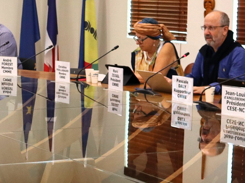 Membres de la commission des mines, de la métallurgie et des énergies.