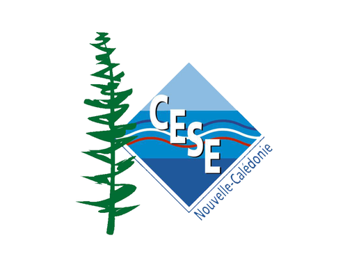 Séance plénière.