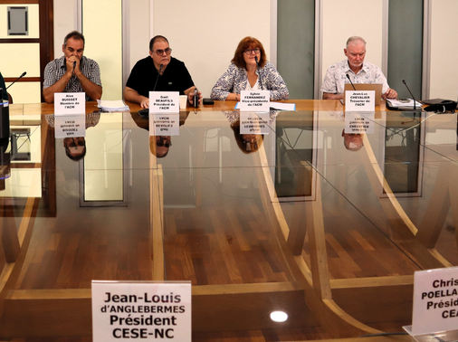 Audition de l'auteur de la pétition.