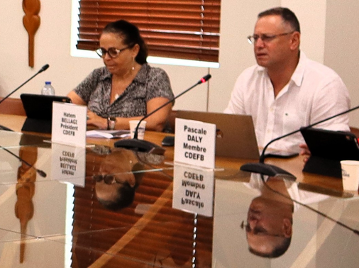 Commission du développement éconimique, de la fiscalité et du budget du CESE-NC.