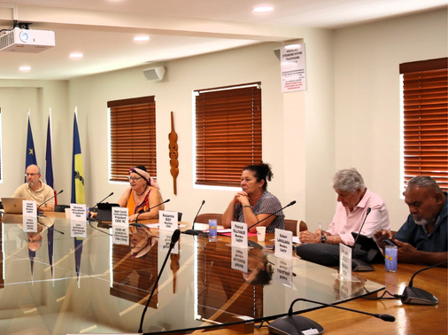 Membres de la commission de l'environnement, de l'aménagement et des infrastructures du CESE-NC.