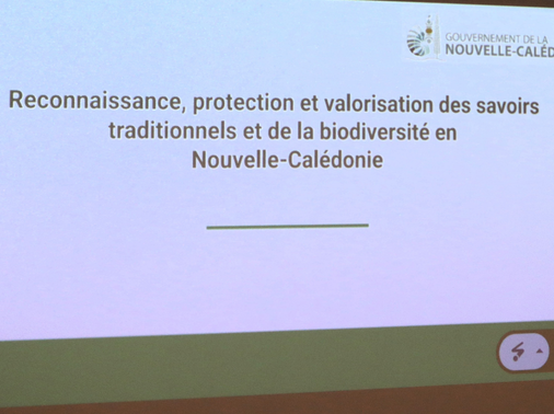 Présentation des affaires juridiques du gouvernement.