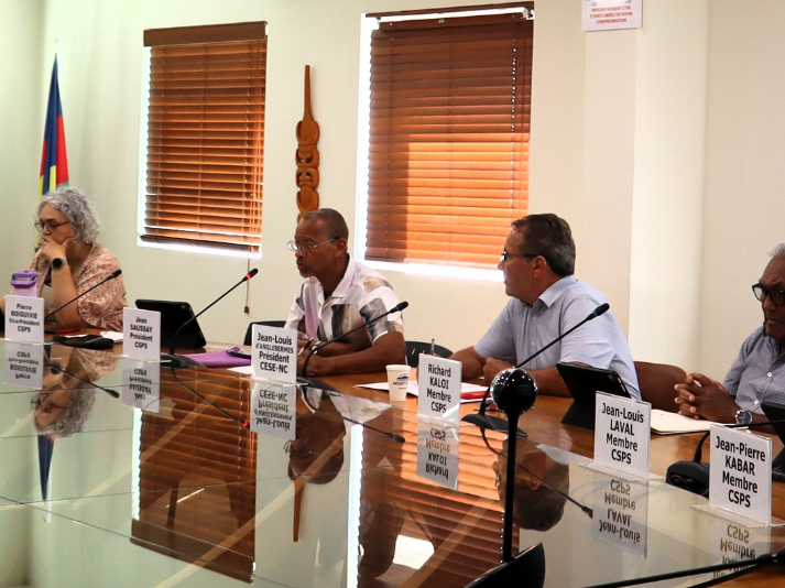 Commission de la santé et de la protection sociale