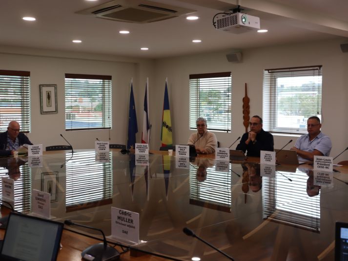 de gauche à droite : M. WORETH, Mme DALY, M. CONDOYA, M. BELLAGI, respectivement membre, vice-président et président de la commission du développement économique, de la fiscalité et du budget du CESE-NC.