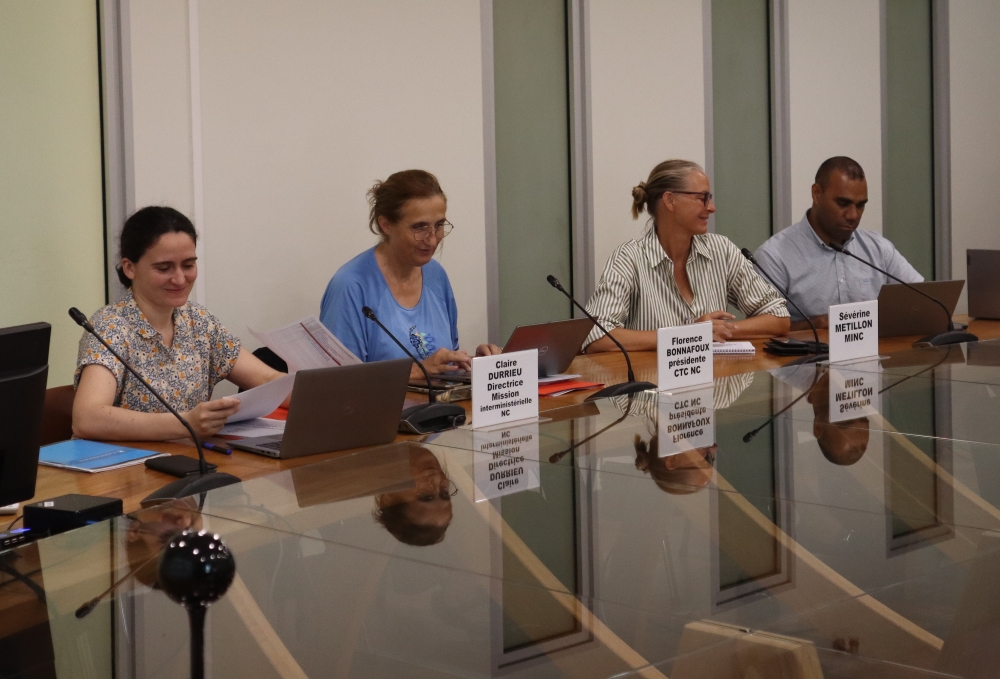 visite Claire Durrieu