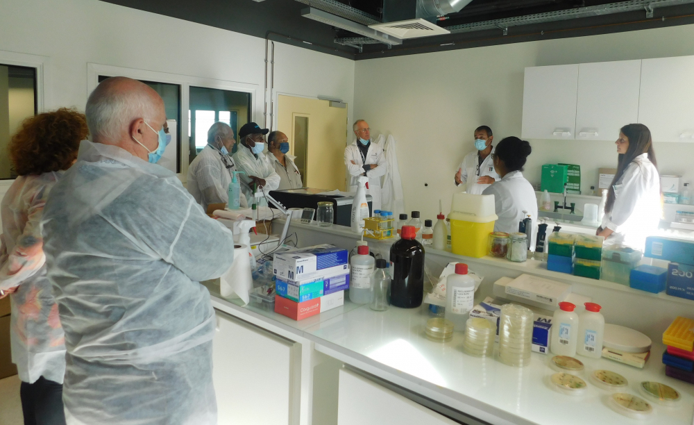 Visite de la Commission Santé du CESE à l'Institut Pasteur au Médipôle