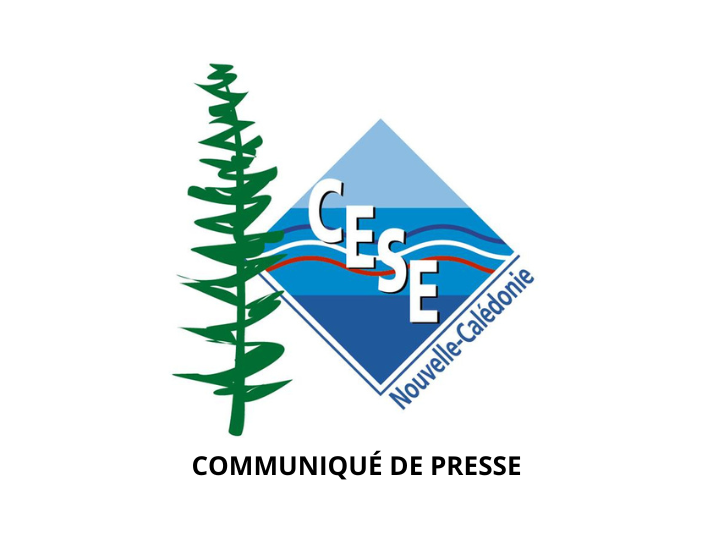 Communiqué de presse du 31 décembre 2025