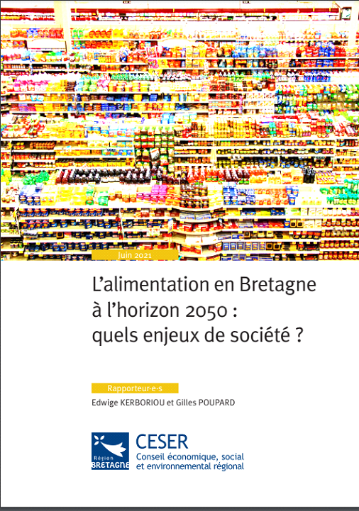 Rapport du Conseil Économique Social et Environnemental (CESER) de Bretagne.