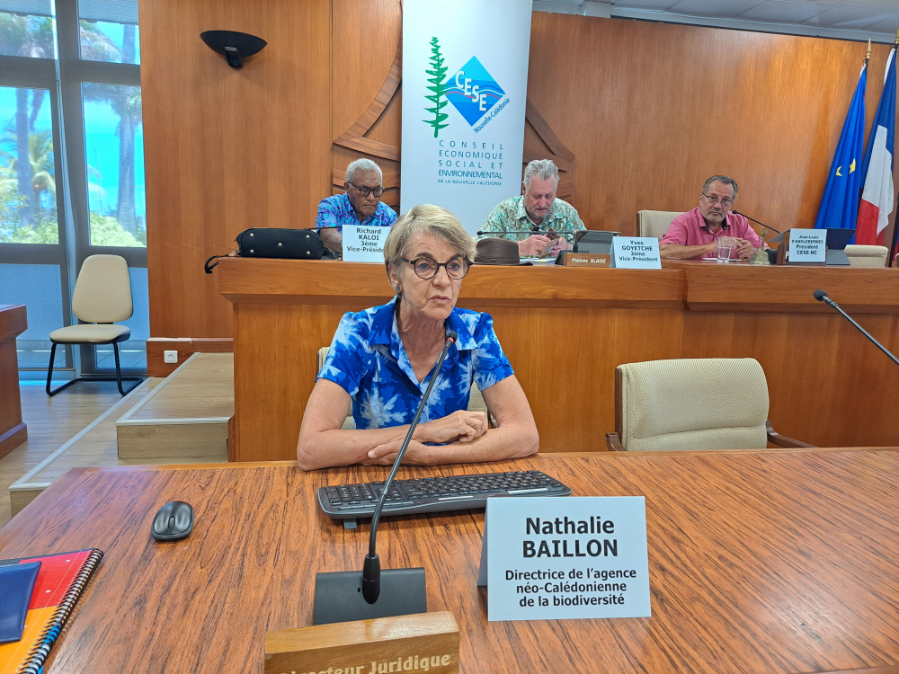 Nathalie Baillon présente l'ANCB aux conseillers du CESE