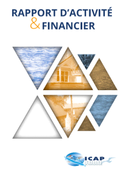Rapport d'activité et financier ICAP.