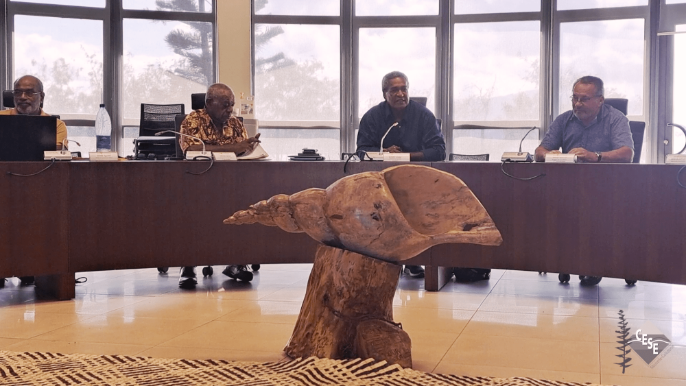 Visite au Sénat coutumier le lundi 6 mai 2024