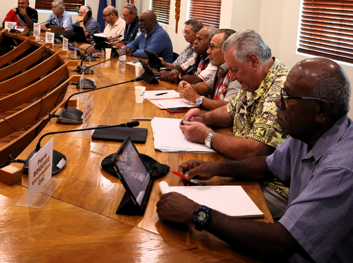 Membres de la commission des affaires coutumières ainsi que de la culture, de la jeunesse et des sports du CESE-NC.
