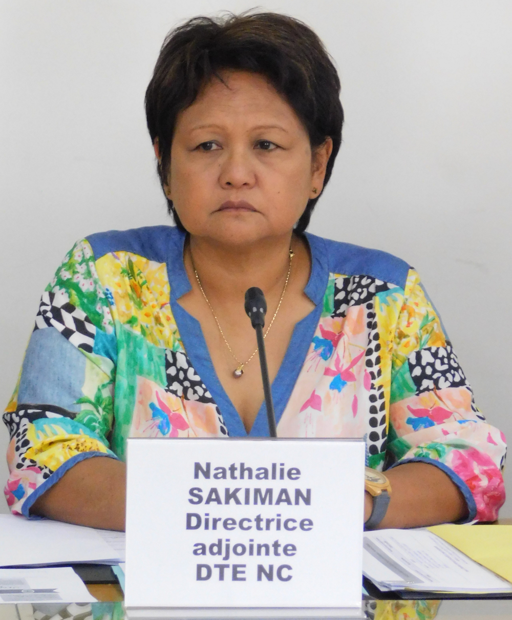Madame Nathalie SUKIMAN, Directrice adjointe du Travail et de l’Emploi (DTE) de la Nouvelle-Calédonie