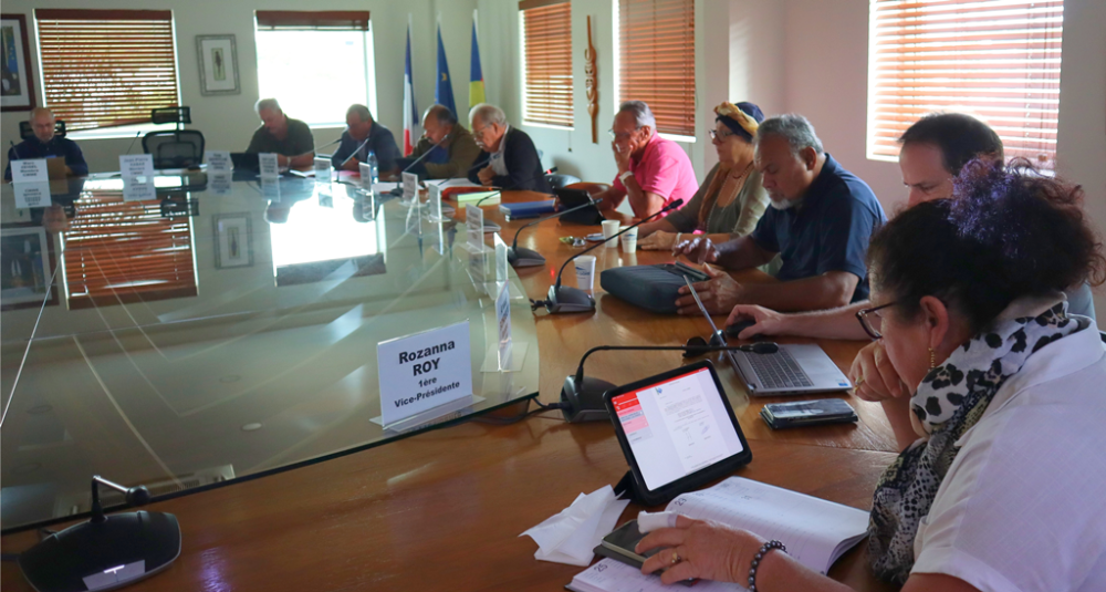 Les conseillers du CESE-NC, membres de la CEAI et de la CMME.