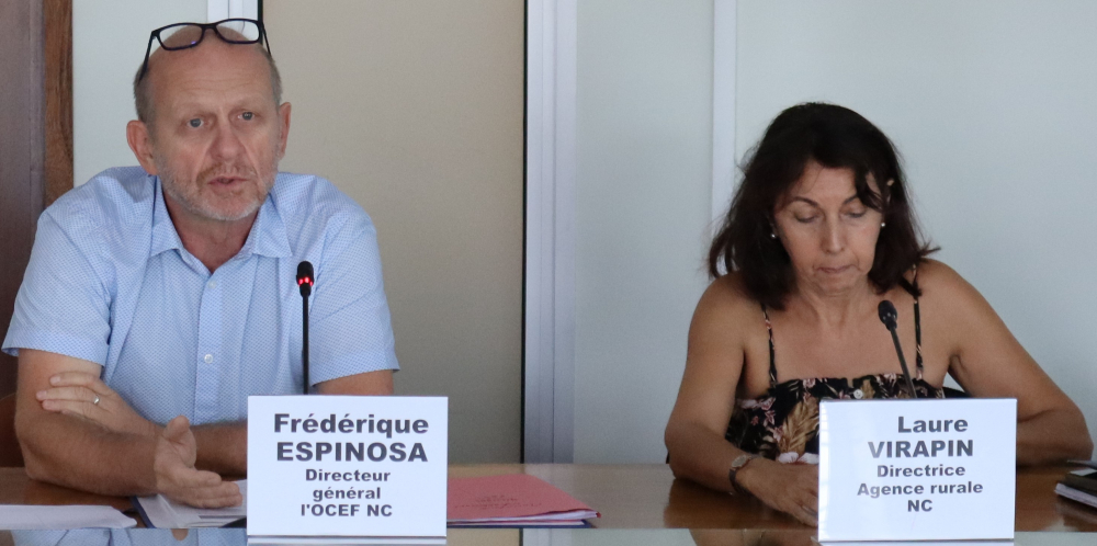 Madame Laure VIRAPIN, Directrice de l'agence rurale NC, et Monsieur Frédérique ESPINOSA, Directeur général de l'OCEF NC.
