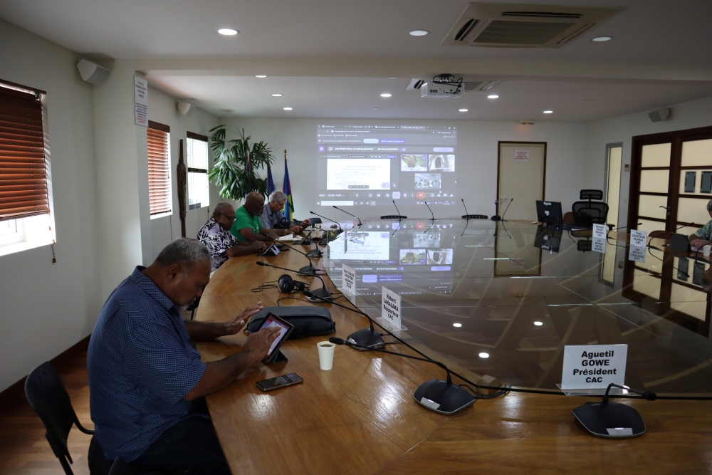 Réunion en visioconférence.