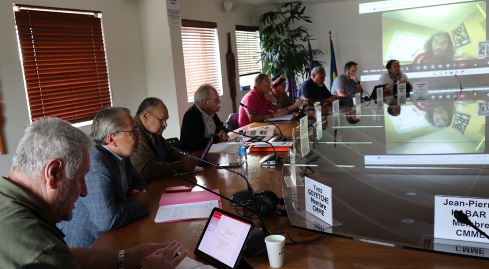 Le président, les conseillers du CESE-NC, membres de la CEAI et de la CMME