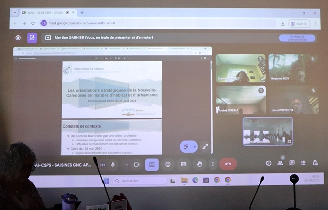 Présentation powerpoint du membre du gouvernement de la Nouvelle-Calédonie