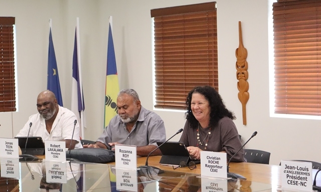 Le Bureau du CESE-NC