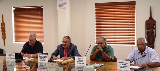 Le Président et le Bureau du CESE-NC.