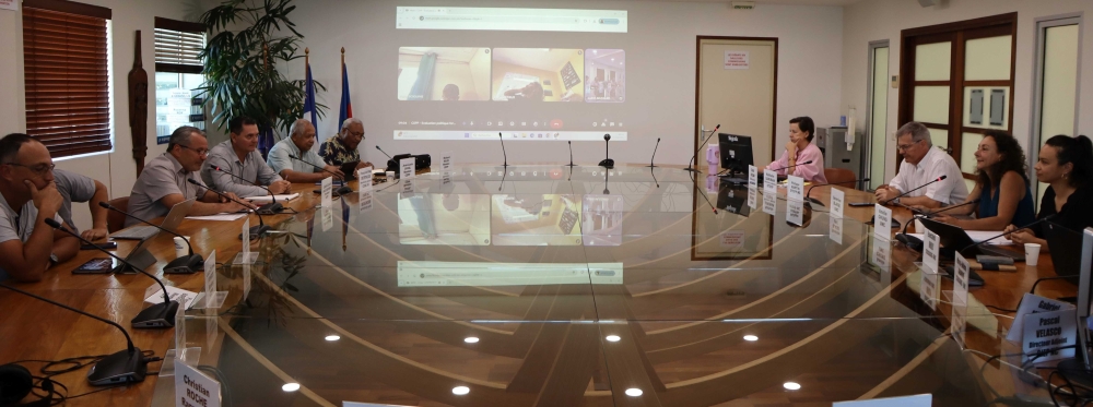 Réunion en présentiel et en visioconférence.