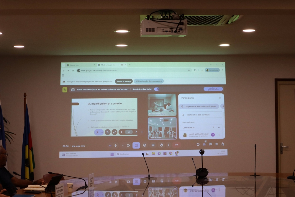 Invités en visioconférence : Monsieur Alexis LABAU et Monsieur Michel HELLY