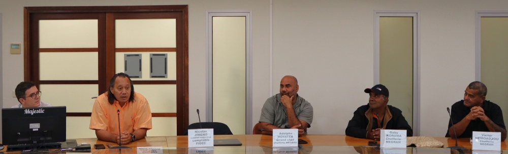 Présentation par les représentants du projet PRONY-PERNOD