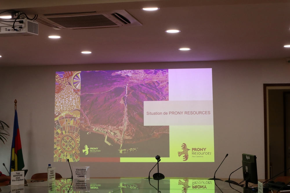 Powerpoint PRONY RESOURCES