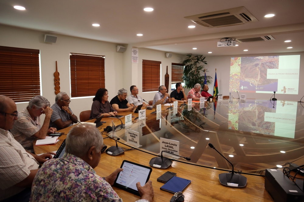 Présentation PRONY RESOURCES.